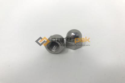 Cap Nut (Domed) - Stainless Steel